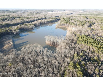 Welcome to Springwood Trail, come experience this new lakefront - photo 37