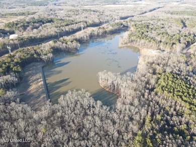 Welcome to Springwood Trail, come experience this new lakefront - photo 38