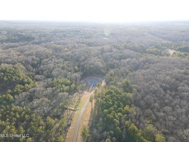 Welcome to Springwood Trail, come experience this new lakefront - photo 46