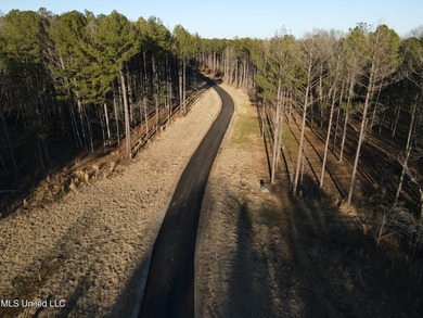 Welcome to Springwood Trail, come experience this new lakefront - photo 47
