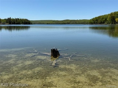 Trailheads are located nearby, offering direct access to miles - photo 47