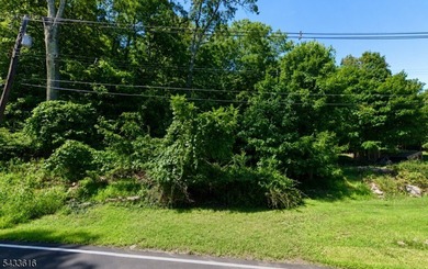 Now available in desirable Hopatcong this .53-acre vacant lot - photo 2