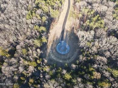 Welcome to Springwood Trail, come experience this new lakefront - photo 52