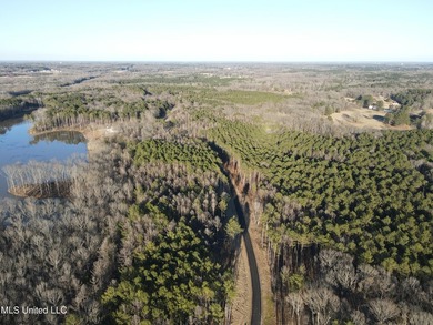 Welcome to Springwood Trail, come experience this new lakefront - photo 53