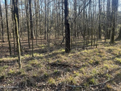 Welcome to Springwood Trail, come experience this new lakefront - photo 58