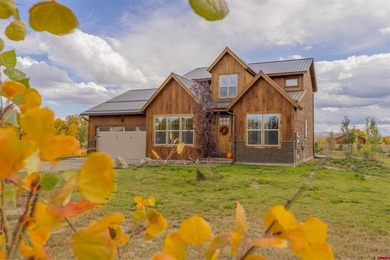 Lake Home For Sale in Gunnison, Colorado