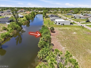 Vacant land opportunity in Cape Coral, Florida! 3000 NE 1st Pl - photo 8