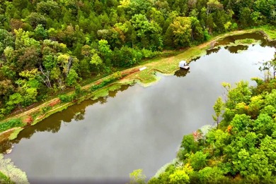 Welcome to Ongo, Missouri, an unincorporated community dating - photo 10