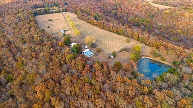 (private lake, pond, creek) Home For Sale in West Fork Arkansas