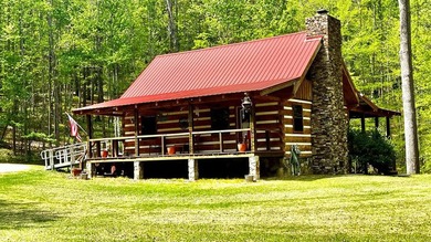 (private lake, pond, coastal) Home For Sale in Blairsville Georgia