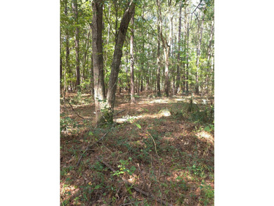 Discover the possibilities with this beautiful 1.25-acre - photo 3