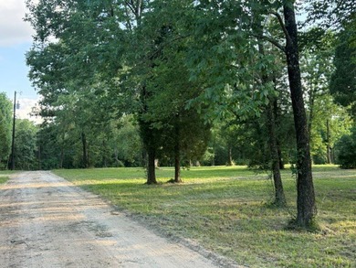 Prime 10-Acre Waterfront Development Opportunity on Cedar Creek - photo 22