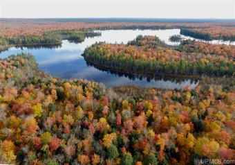 Nevins Lake Acreage For Sale in Melstrand Michigan
