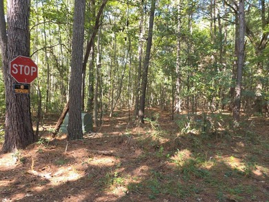 Discover the possibilities with this beautiful 1.25-acre - photo 1