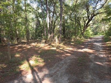 Discover the possibilities with this beautiful 1.25-acre - photo 2