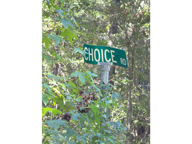 Discover the possibilities with this beautiful 1.25-acre - photo 4