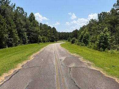 Seminole Ridge Community...off the grid but sitll connected - photo 7