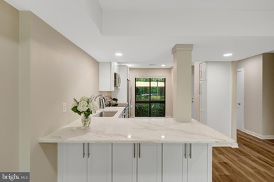 THE PERFECT CONDO/TOWNHOME - OPEN SATURDAY, 7/18 AND SUNDAY - photo 9