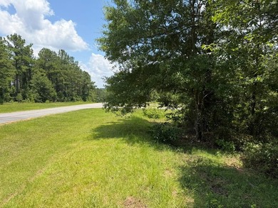 Seminole Ridge Community...off the grid but sitll connected - photo 10
