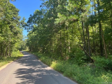 Lake Acreage For Sale in Carthage, Arkansas