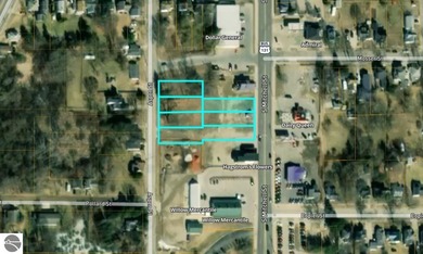 Lake Cadillac Commercial For Sale in Cadillac Michigan