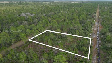 Build your dream home on this spacious 0.50-acre vacant lot - photo 11