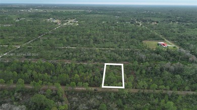 Build your dream home on this spacious 0.50-acre vacant lot - photo 15