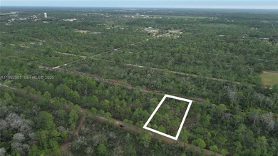 Build your dream home on this spacious 0.50-acre vacant lot - photo 16