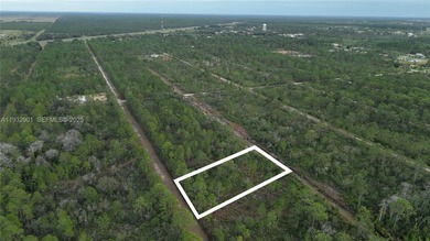 Build your dream home on this spacious 0.50-acre vacant lot - photo 18