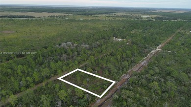 Build your dream home on this spacious 0.50-acre vacant lot - photo 20