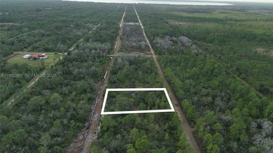 Build your dream home on this spacious 0.50-acre vacant lot - photo 24