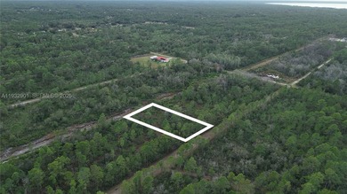 Build your dream home on this spacious 0.50-acre vacant lot - photo 25