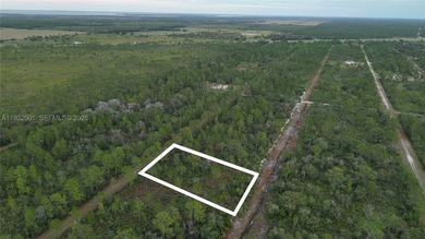 Build your dream home on this spacious 0.50-acre vacant lot - photo 29
