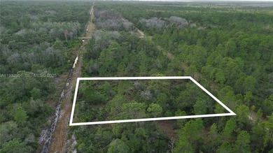 Build your dream home on this spacious 0.50-acre vacant lot - photo 33