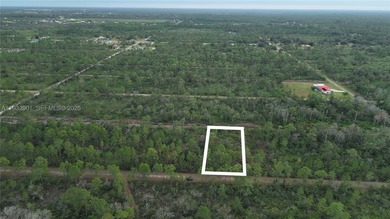 Build your dream home on this spacious 0.50-acre vacant lot - photo 35