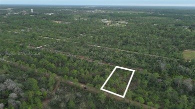 Build your dream home on this spacious 0.50-acre vacant lot - photo 36