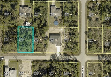 Lehigh Acres Area Lot For Sale in Lehigh Acres Florida