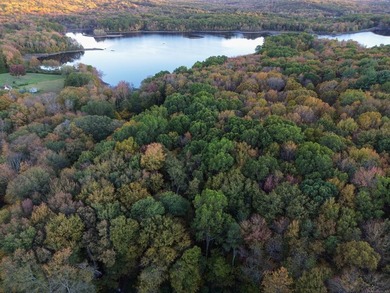 Possible Subdivision Opportunity - 33 Acres! Explore the - photo 9