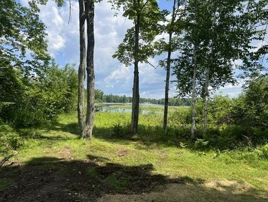 Additional listing photo 4