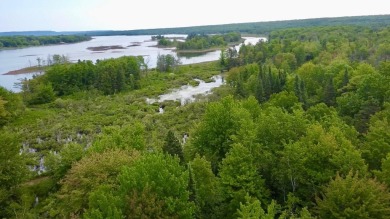 Lake Acreage For Sale in Sault Ste. Marie, Michigan