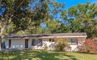 Lake Home For Sale in Lake Placid, Florida