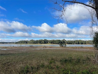 Absolutely stunning 60 +/- acres with Lake frontage on Lady Lake - photo 3