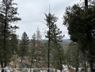 GRINDSTONE CANYON RESORT SUBD.! Lot is approx. 0.869 acre with - photo 3