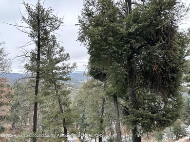 GRINDSTONE CANYON RESORT SUBD.! Lot is approx. 0.869 acre with - photo 4