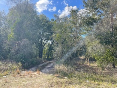 Absolutely stunning 60 +/- acres with Lake frontage on Lady Lake - photo 8