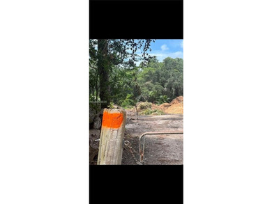 This could possibly be the last undeveloped parcel of this size - photo 3