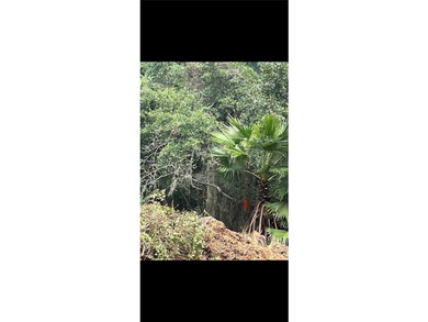 This could possibly be the last undeveloped parcel of this size - photo 4