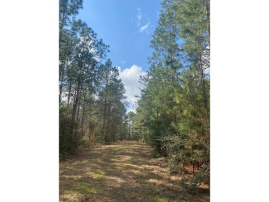 Beautiful land for sale in Poplarville, Ms. 30 acres mostly - photo 14
