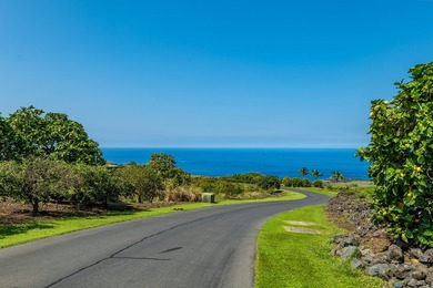 Located on the desirable north end of Hokuli'a on the Kona Coast - photo 8