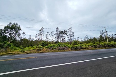 Experience the unique beauty and cool climate of the Volcano - photo 3